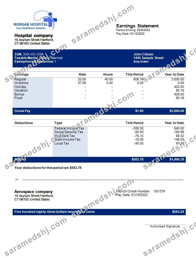 hospital company earning statement in Word and PDF formats